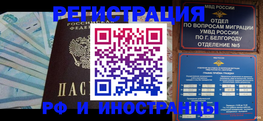 временная регистрация недорого в Сольцах